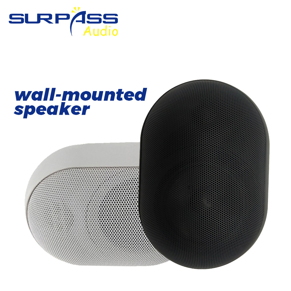 Wall Mount Speaker - 30W Wall-mounted Speaker Waterproof IP55 Public