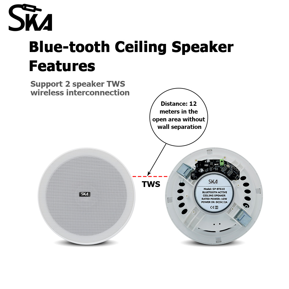 Ceiling Bluetooth Speaker 6inc - đánh giá và giá Home Cinema Speaker System