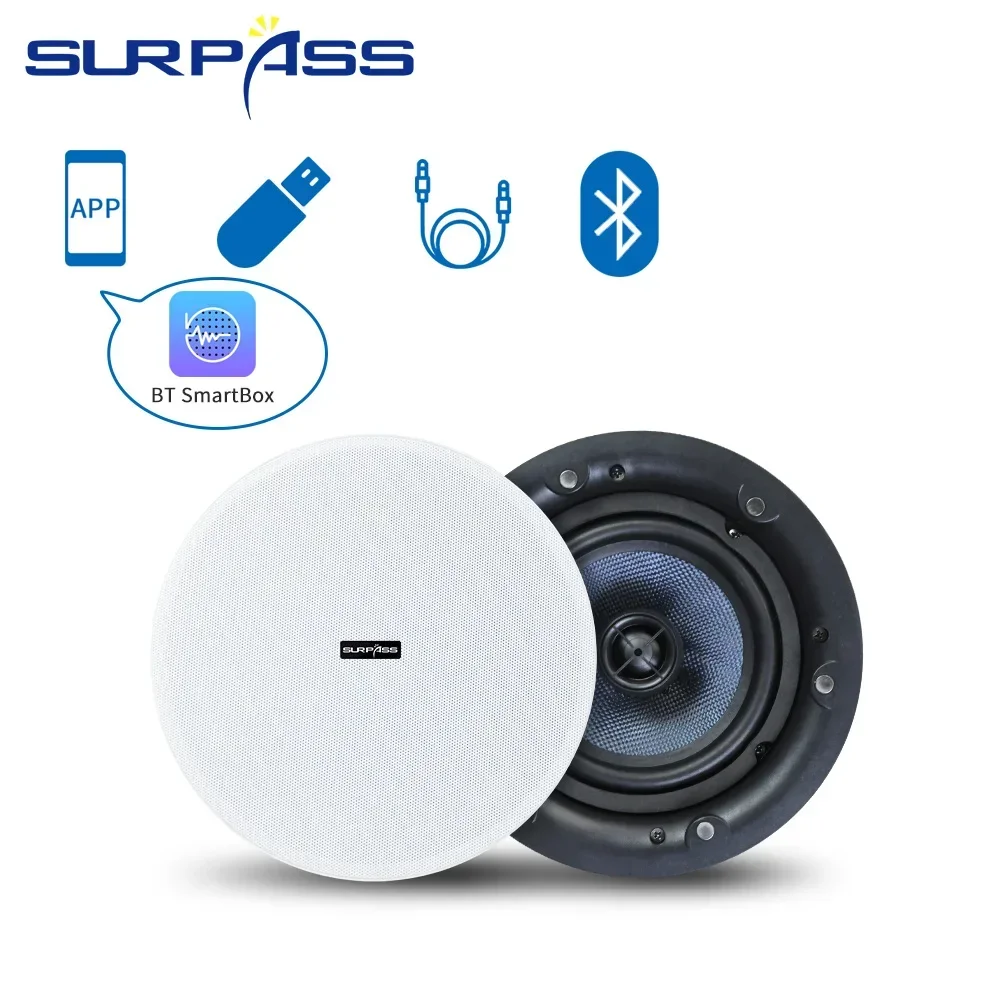 Ceiling Bluetooth Speaker 5.25 - đánh giá và giá Home Cinema Bluetooth 5.1