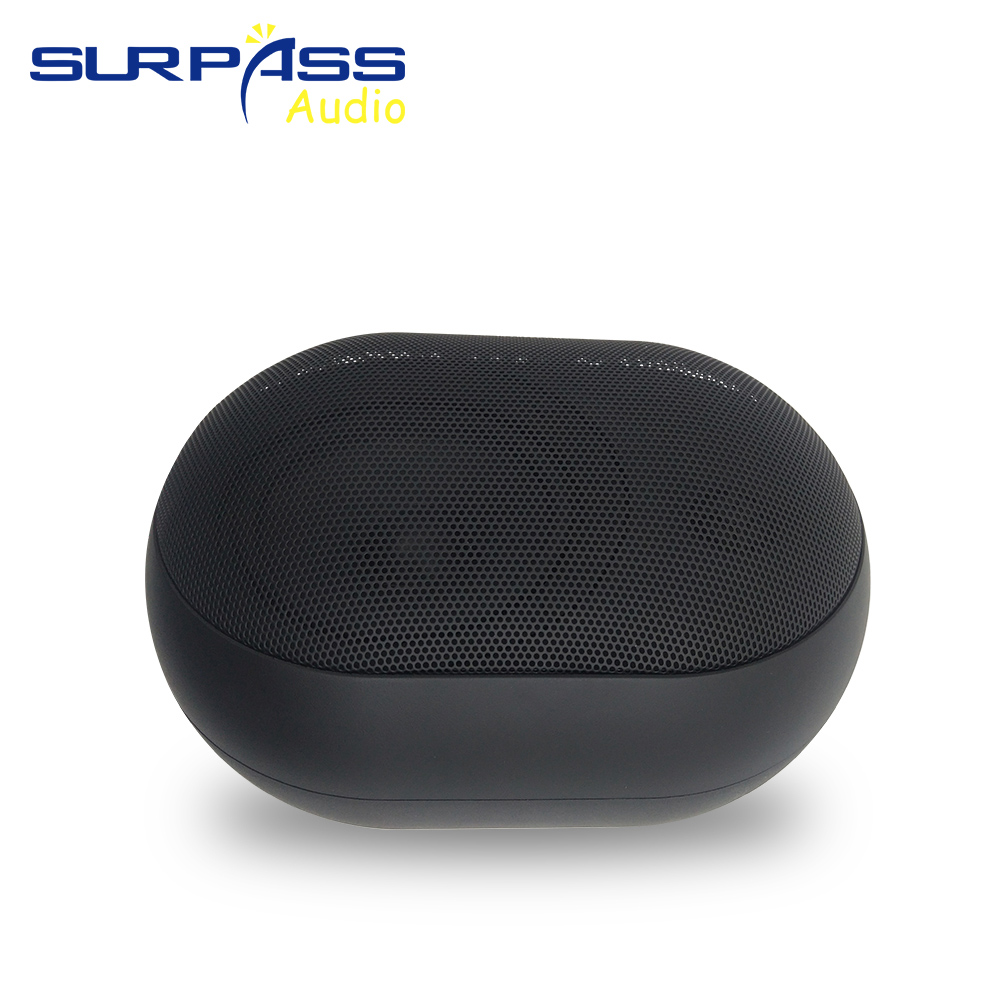 30W Wall-mounted Speaker Water - đánh giá và giá Wall Mount Speaker